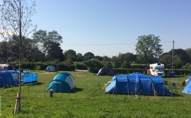 Tents on the grass field