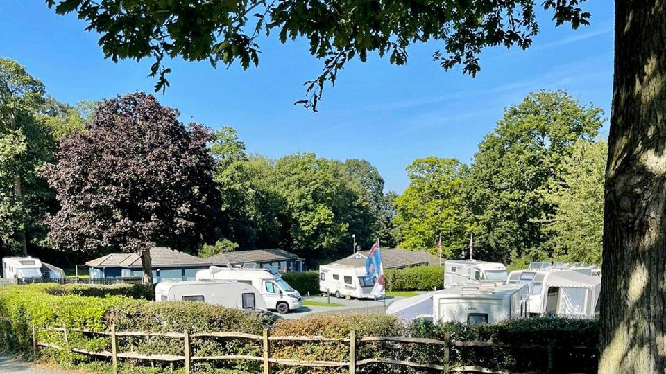 Touring pitches under trees
