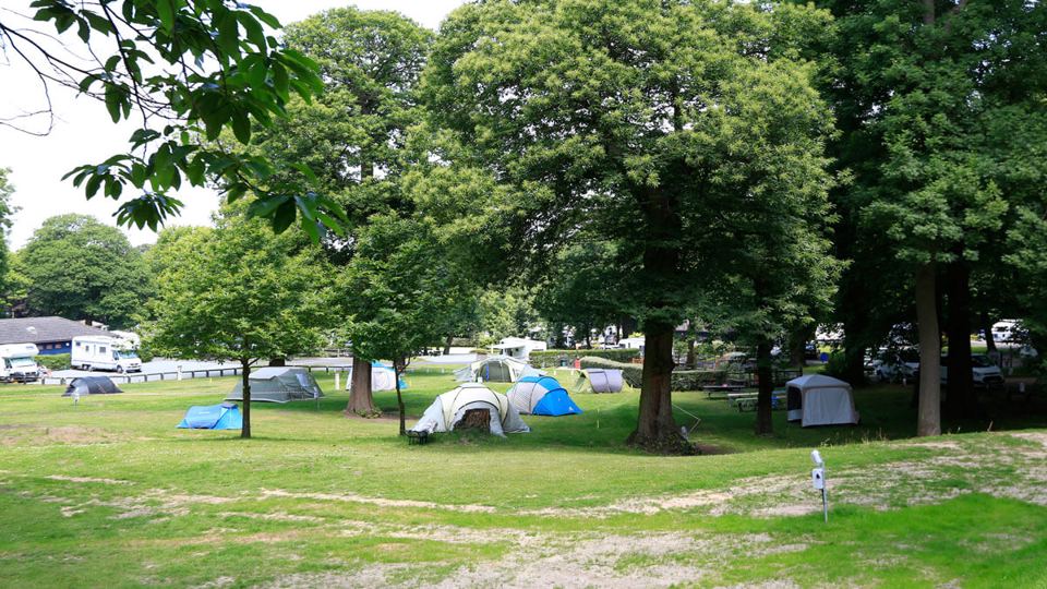 Tent field among trees