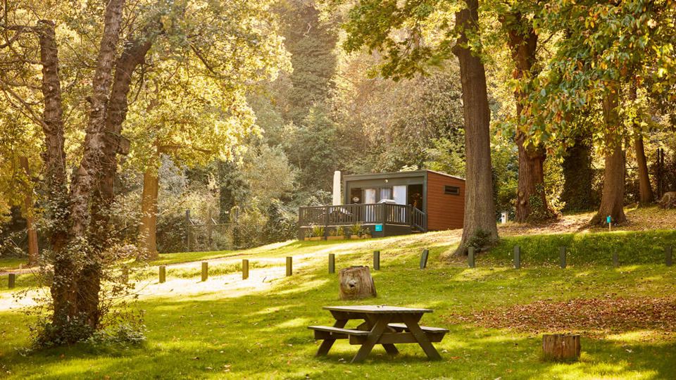 Cabin among the trees