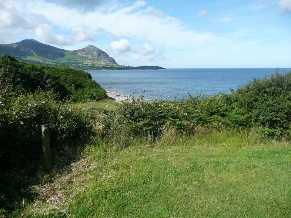 Grass pitch above the bay
