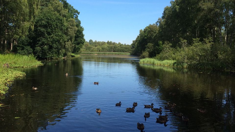 Aboyne Loch with ducks