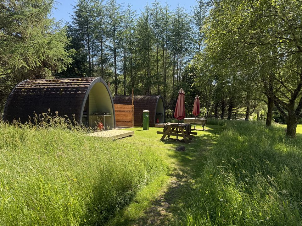 Camping pods among the trees