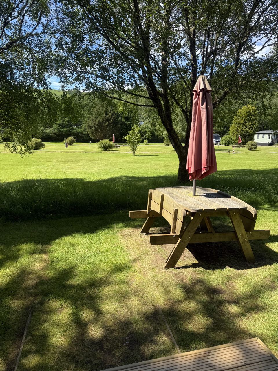 Picnic bench on the grass
