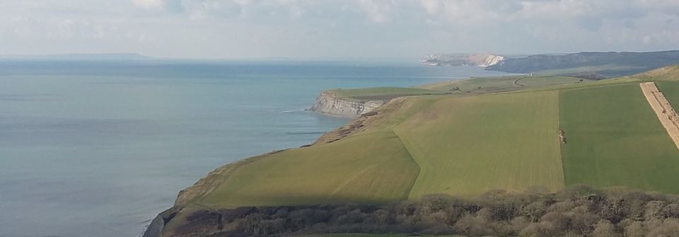 Coast and fields from above