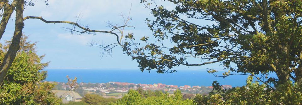 Swanage Bay through the trees