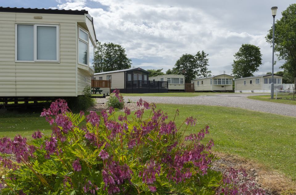 Caravans on the lawned park