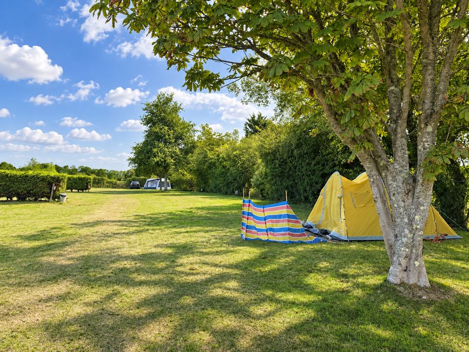 Tent pitched under a tree