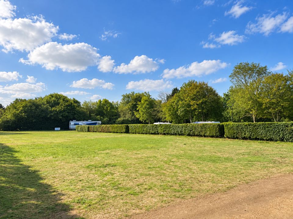 Large open field with hedges