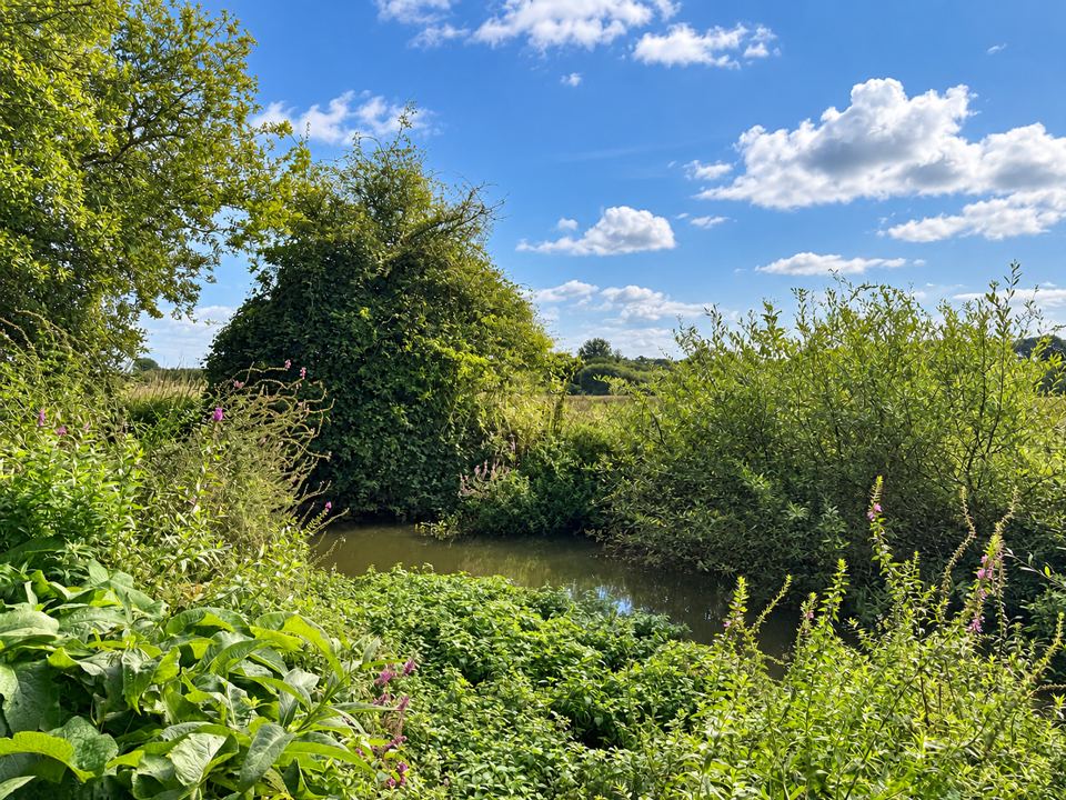 River beside the site