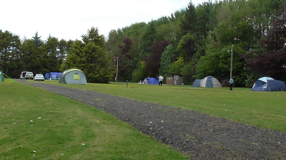Tent field edged with trees