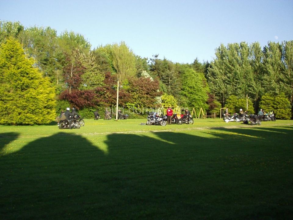 Open lawn among the trees