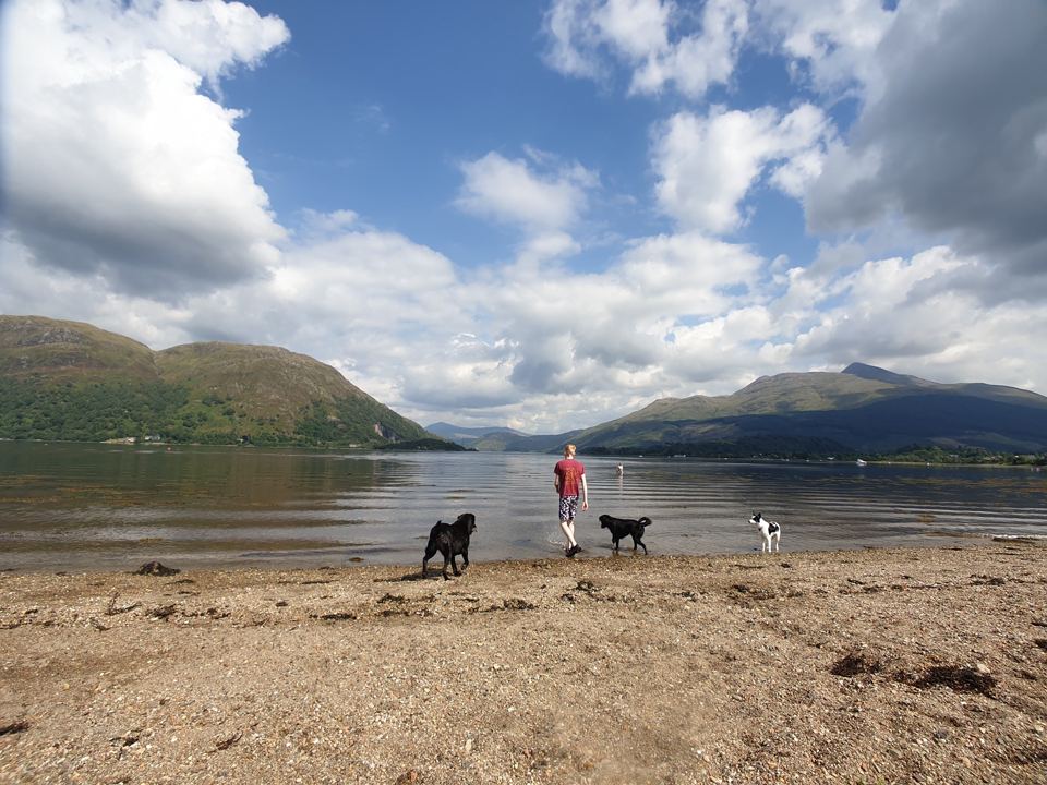 Dogs on the loch beach