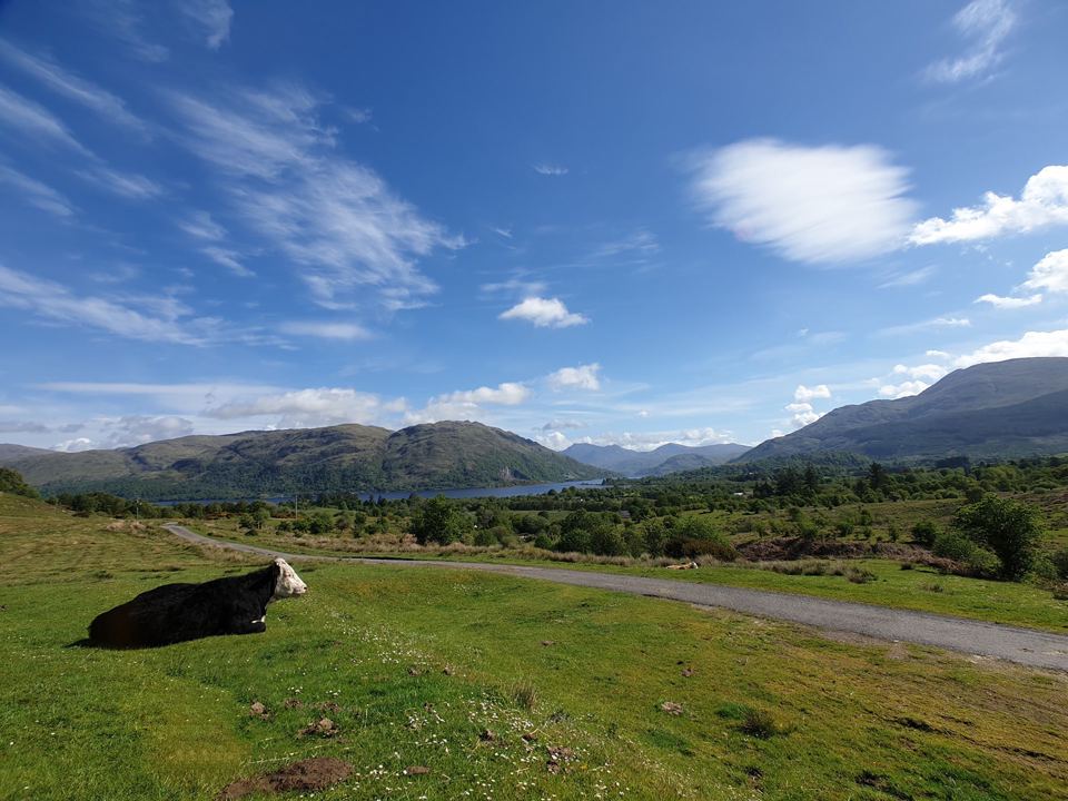Track above the loch