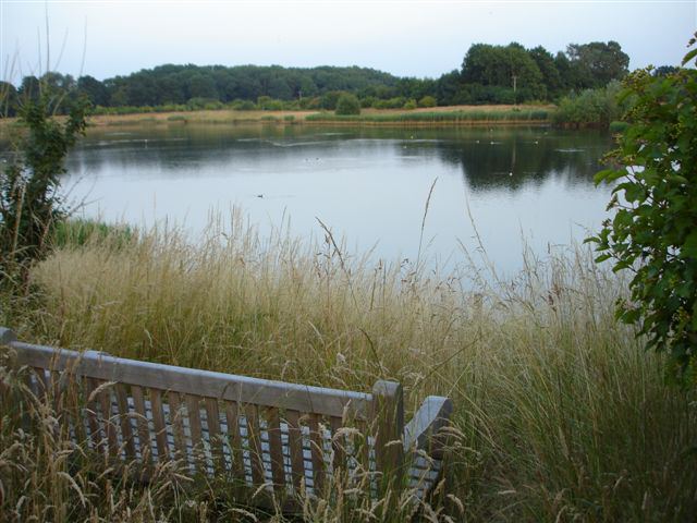 Bench by the lake