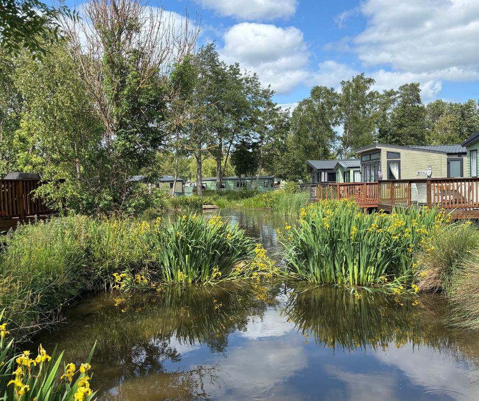 Caravans by the stream
