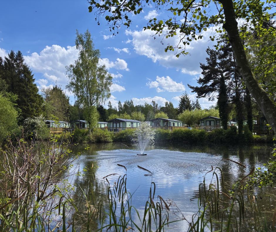 Pond with caravans beyond