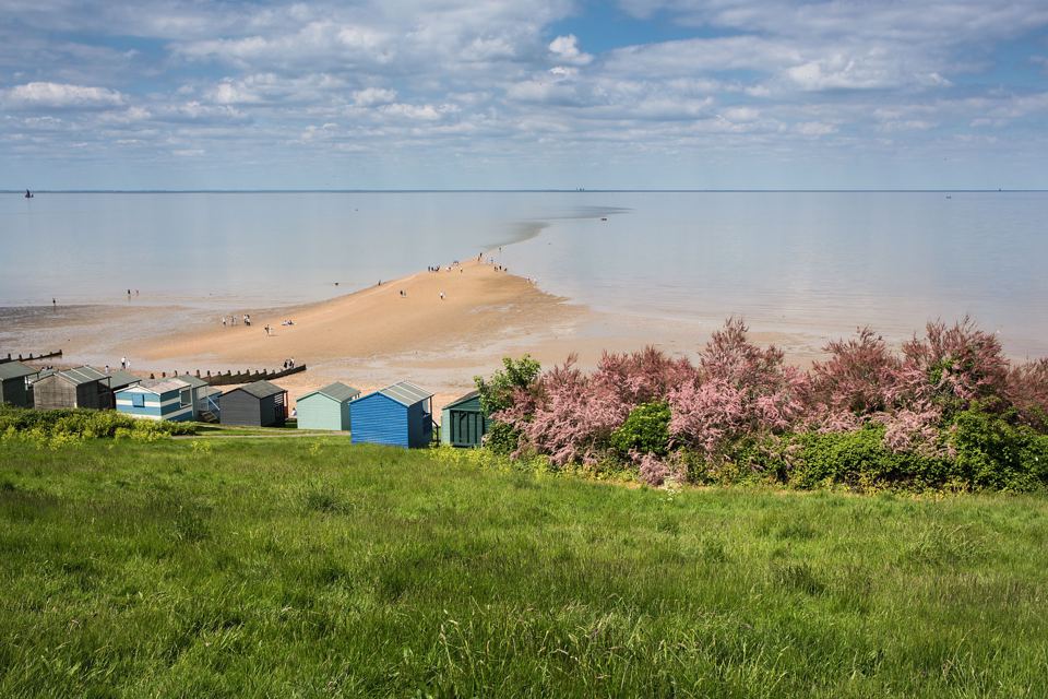 Beach huts and grassy shore