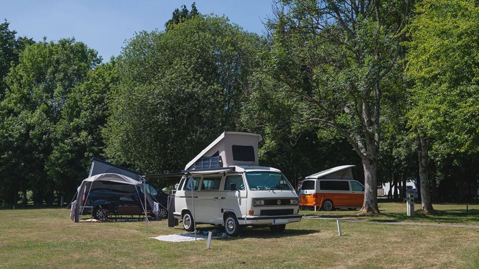 Campervans and tents under trees