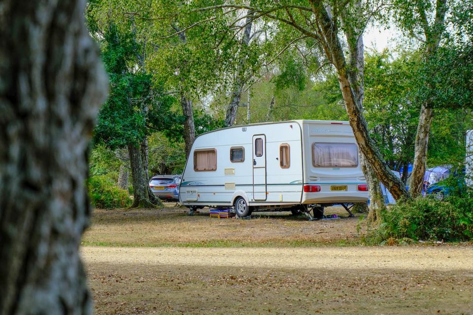 Caravan pitch among the trees