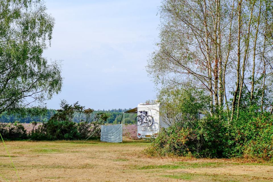 Grass camping area by the heath
