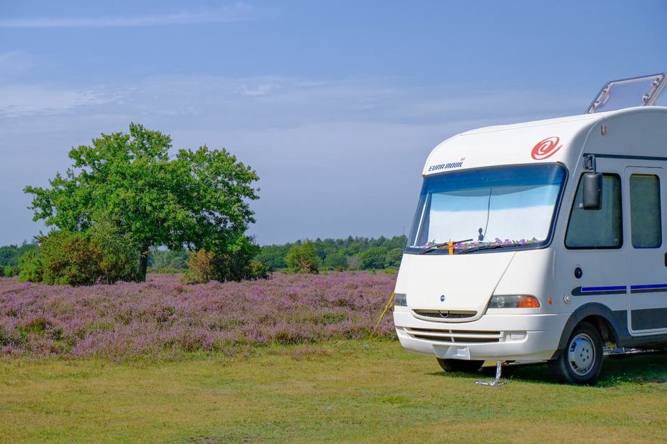 Motorhome beside flowering heather