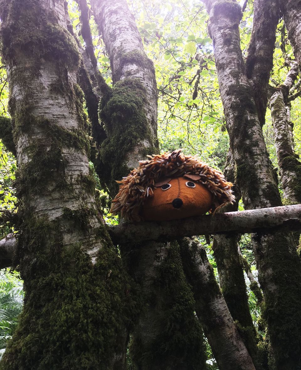 Carved wooden face in the trees