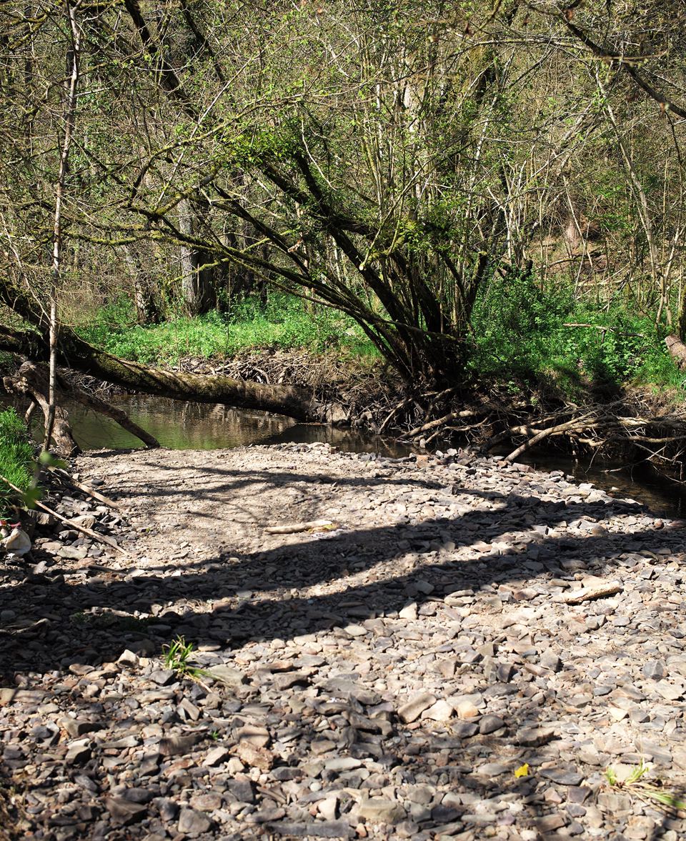 Stream running through the woodland