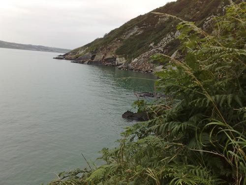Cove below the coast path
