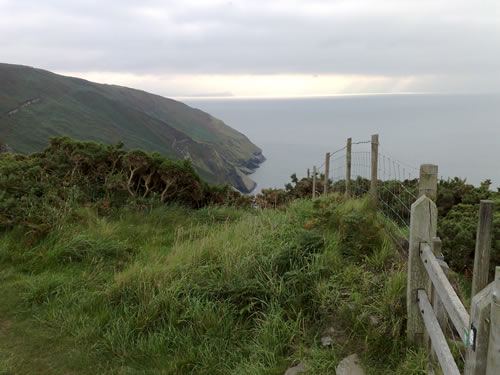 Coast path heading down to the sea