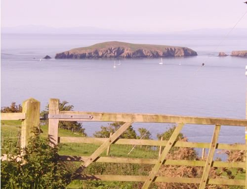 Cardigan Island from the farm gate