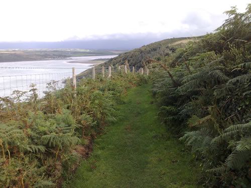 Path above the Teifi estuary
