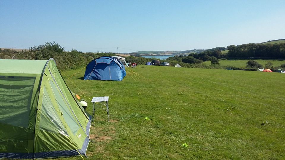 Grass tent pitches with a view