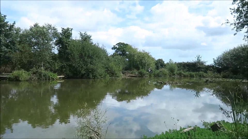 Tree-lined fishing pond