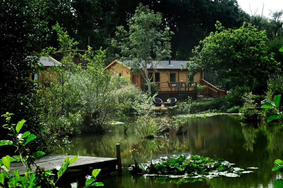 Lodges across the lily pond