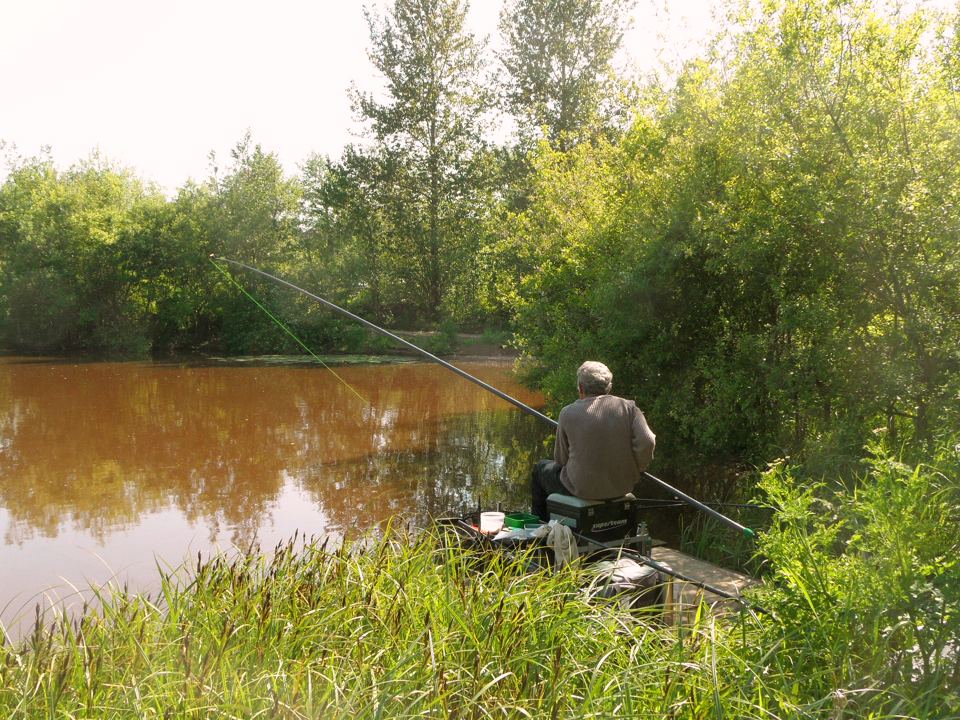 Angler fishing the pond