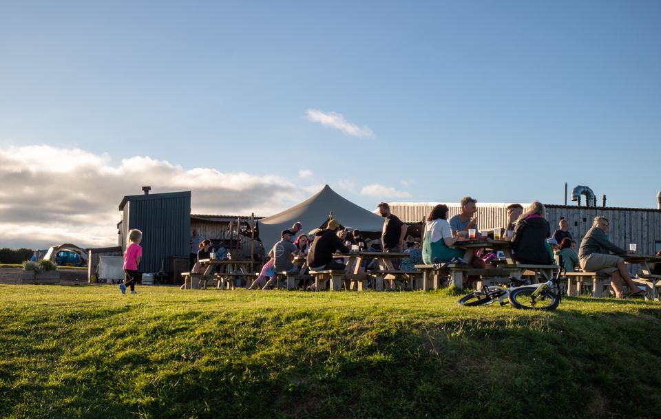 Evening crowd on the grass by the bar