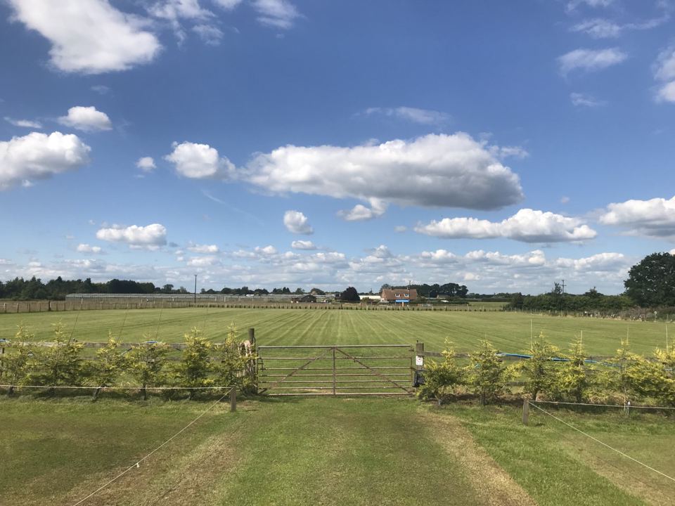 Meadow pitches behind the apple trees