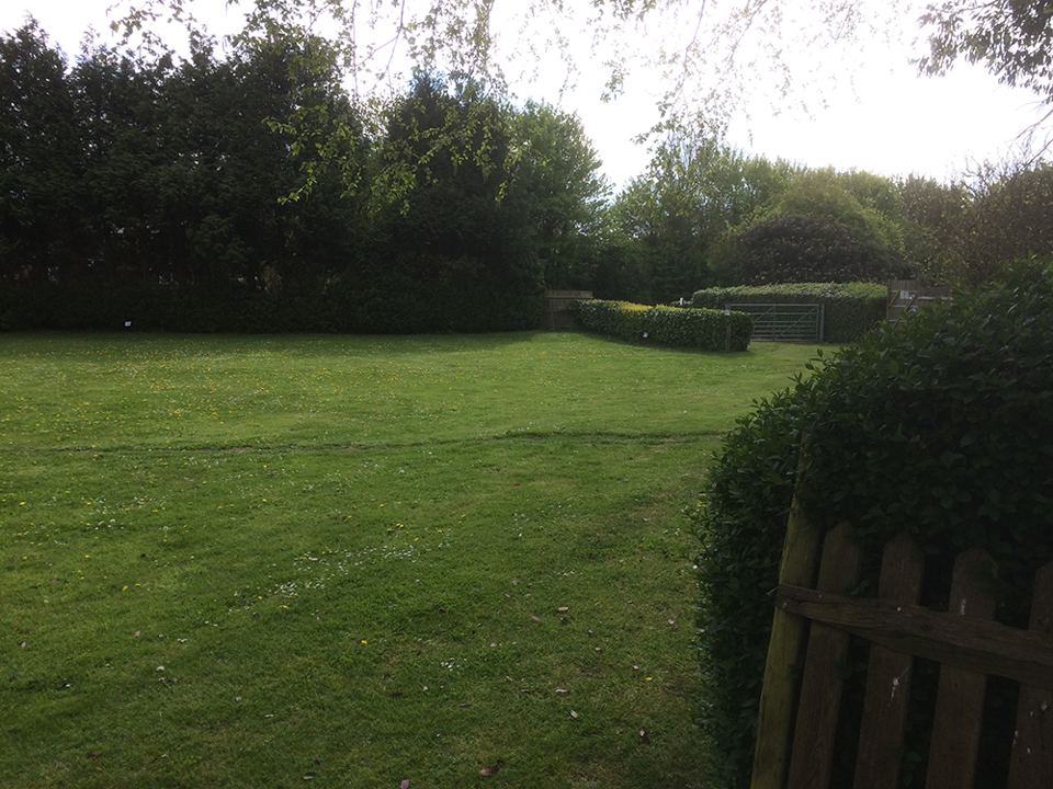 Level grass field with hedges