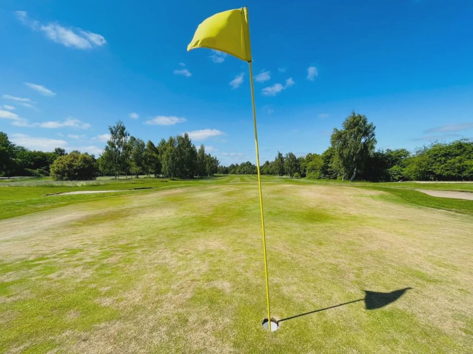 Golf course green
