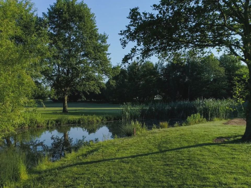 Pond and trees on the park