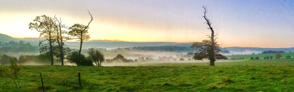 Misty fields at sunrise