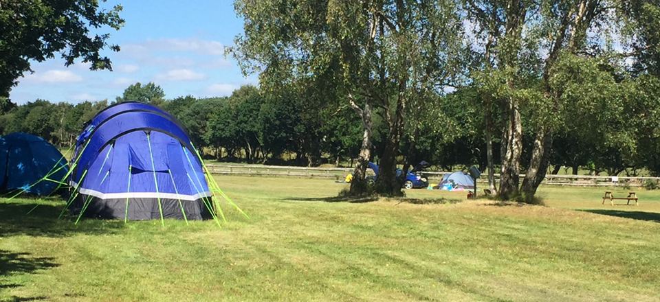 Tents on the grass field