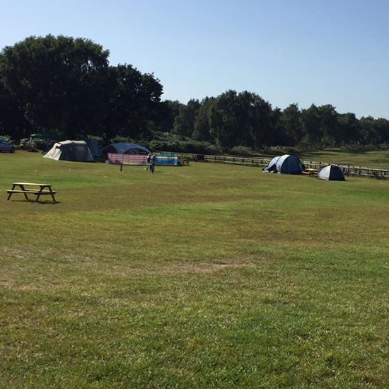 Open grass pitches with picnic bench