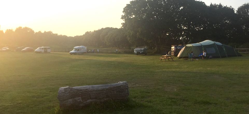 Evening light over the pitches