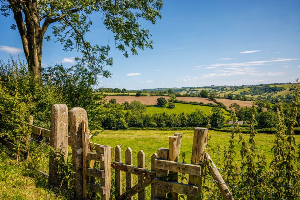Farmland view from the park