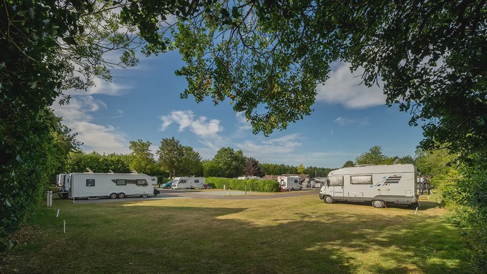 Pitches under the trees