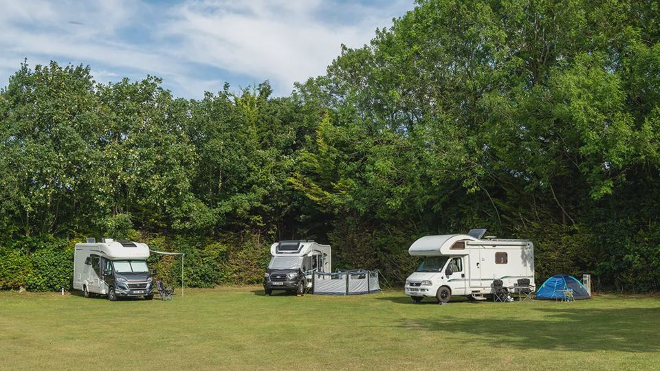 Grass pitches by the hedge