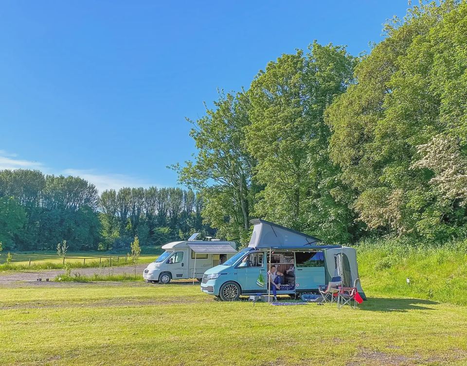 Campervan on grass by the trees