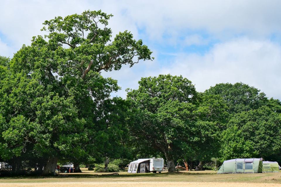 Caravan and tent beneath old oaks